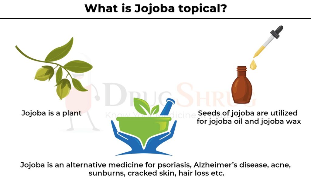 what is Jojoba topical