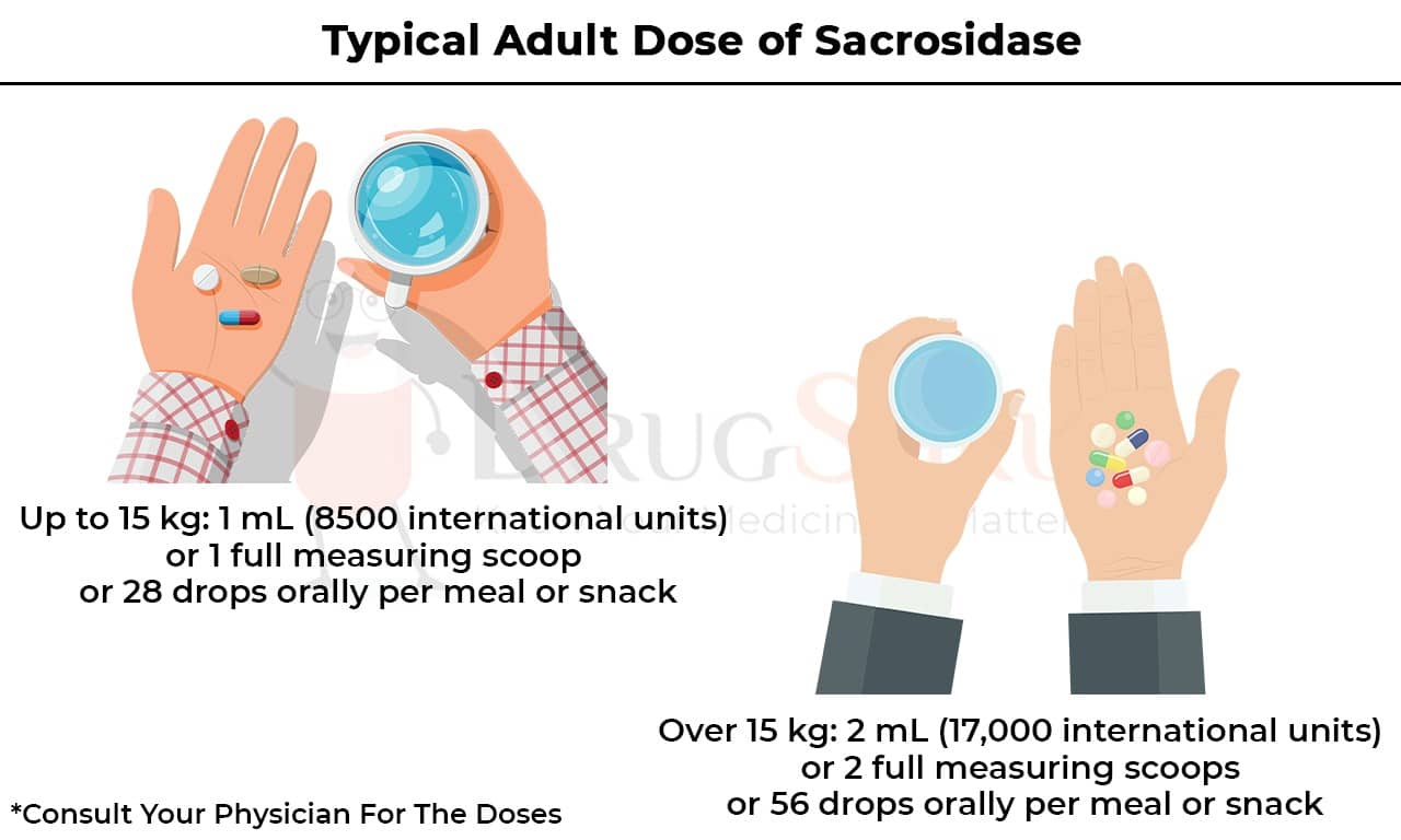 Typical Adult Dose of Sacrosidase